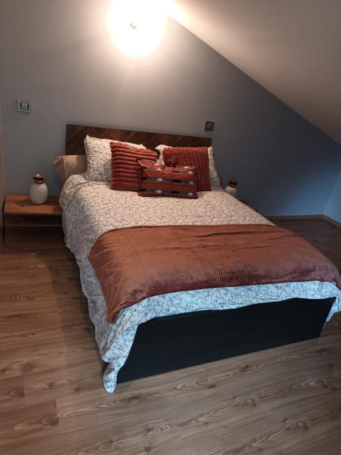 Au Pied Des Montagnes. Apartman Saint-Jean-de-Maurienne Kültér fotó